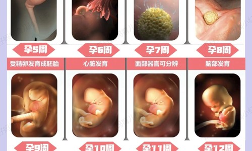 咽炎片哺乳期可以吃吗网-分享咽炎片哺乳期可以吃吗有影响吗，咽炎含片哺乳期可以吃吗知识库